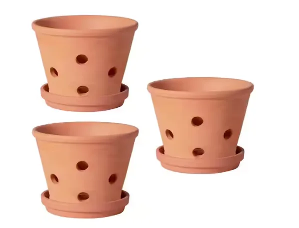 Designer Terracotta Indoor/outdoor Planter With Saucer